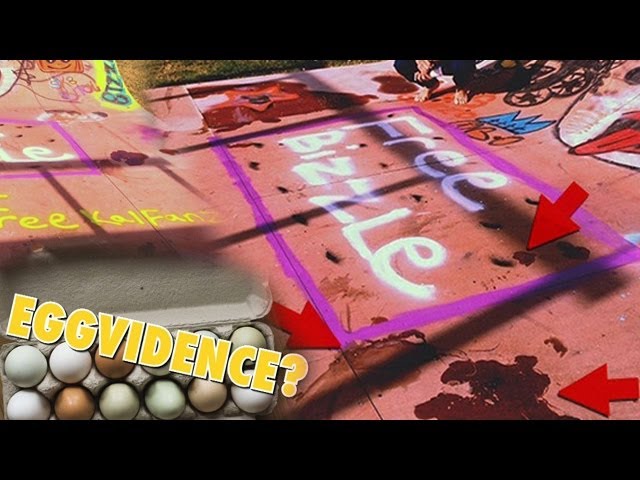 Justin Bieber’s Skate Ramp Turns Up New Eggvidence | TMZ